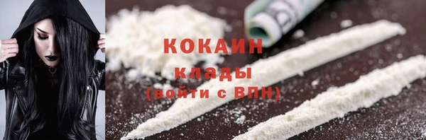 дживик Алзамай