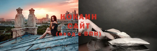 дживик Алзамай