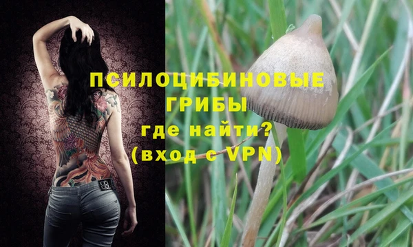 дживик Алзамай