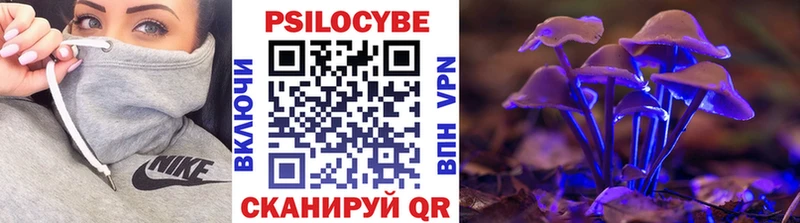 Псилоцибиновые грибы MAGIC MUSHROOMS  купить закладку  blacksprut ссылка  Пласт 